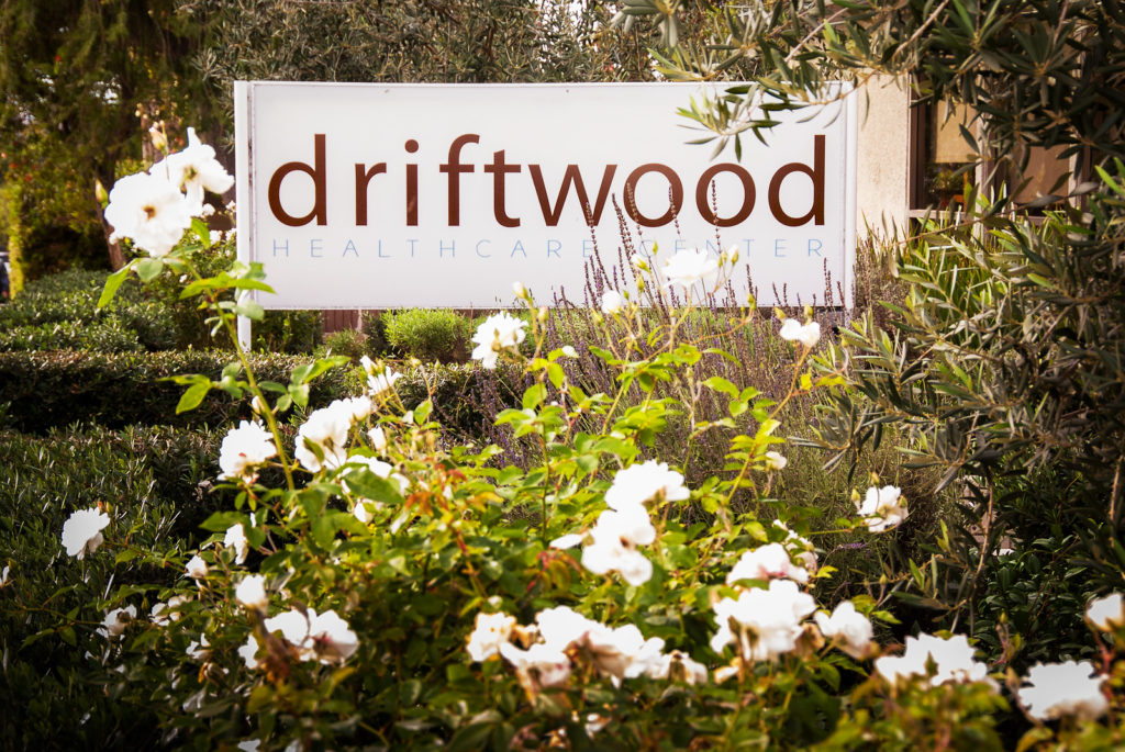 Driftwood_13